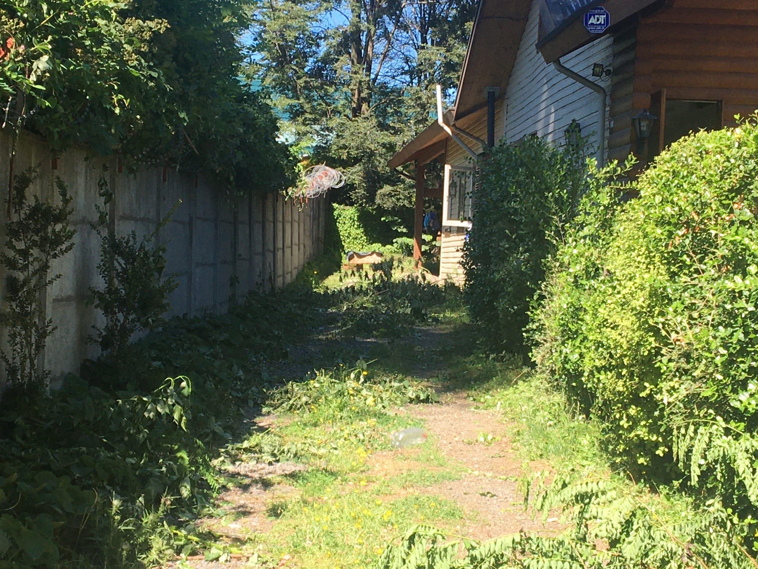 Terreno en Villarrica, oportunidad de inversión — foto 5