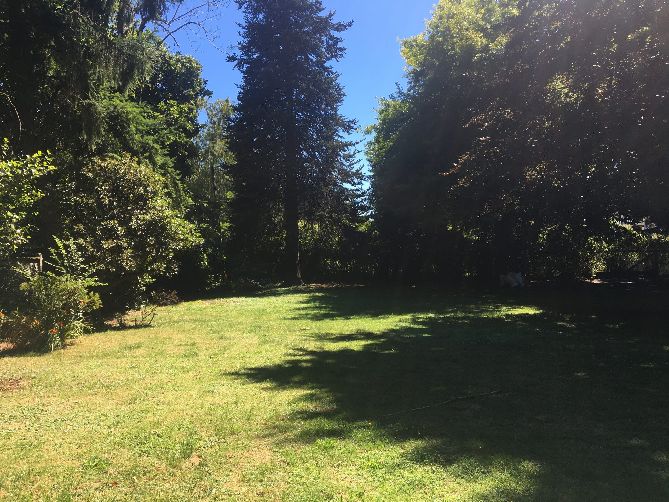 Terreno en Villarrica, oportunidad de inversión — foto 6