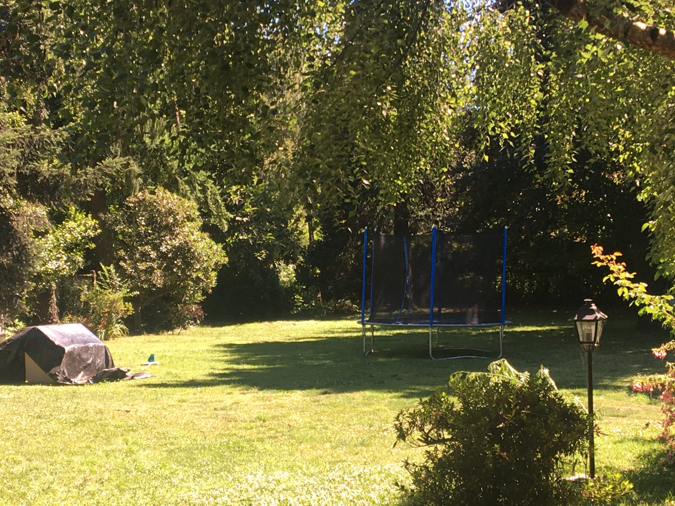 Terreno en Villarrica, oportunidad de inversión — foto 7