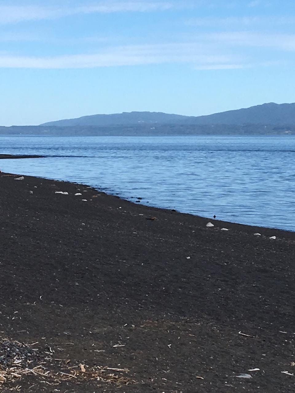 Pucon Casa a Orillas del Lago, Vacacional — foto 31