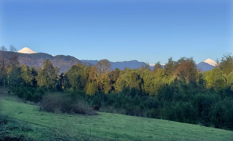 Parcelas en Panguipulli, hermosas vistas, bosque, acceso pavimentado — foto 7