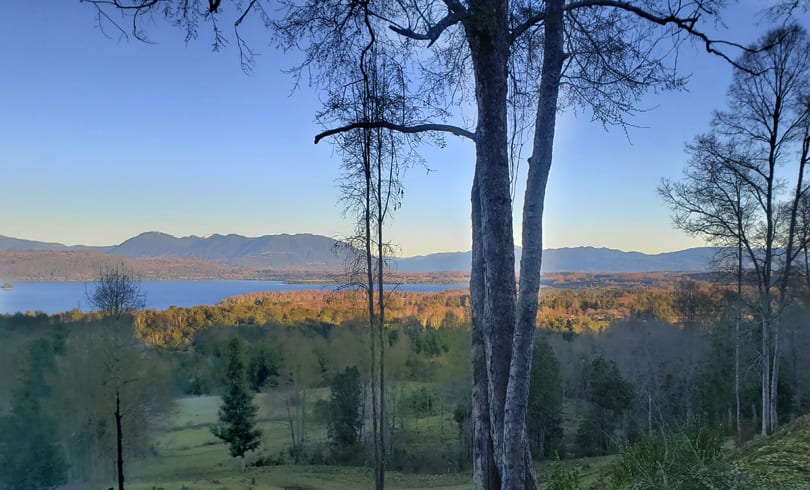 Parcelas en Panguipulli, hermosas vistas, bosque, acceso pavimentado — foto 10