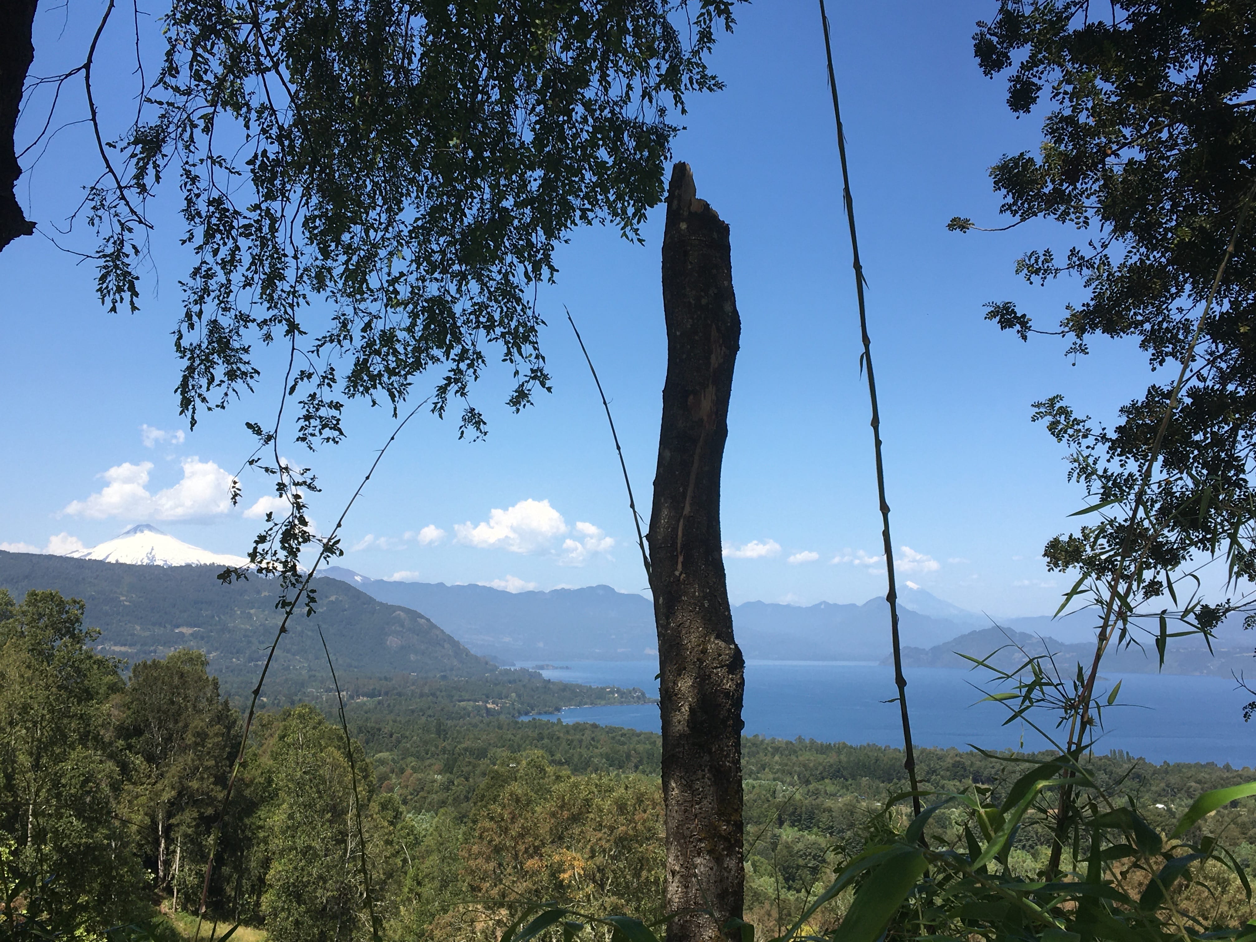 Parcelas en Panguipulli, hermosas vistas, bosque, acceso pavimentado — foto 18