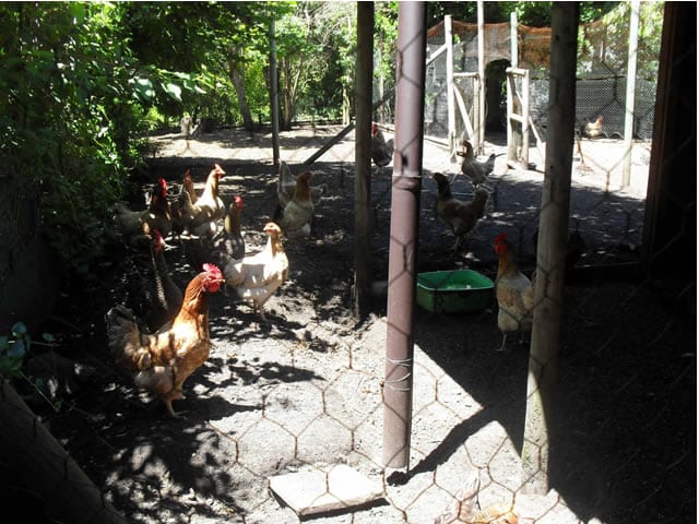 Terreno en Pucón con Playa Privada — foto 7