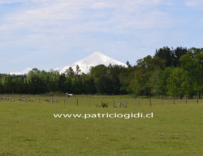 Terreno en Villarrica camino Freire a pasos de carretera y río Toltén — foto 2