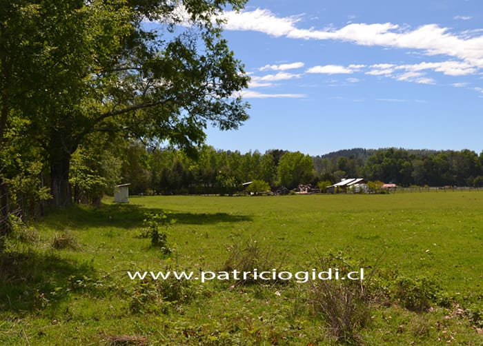 Terreno en Villarrica camino Freire a pasos de carretera y río Toltén — foto 4