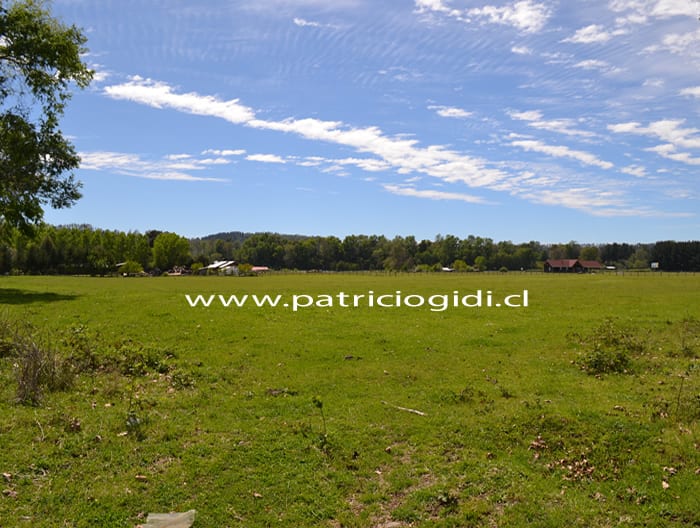 Terreno en Villarrica camino Freire a pasos de carretera y río Toltén — foto 5