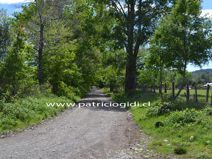 Terreno en Villarrica camino Freire a pasos de carretera y río Toltén — foto 8