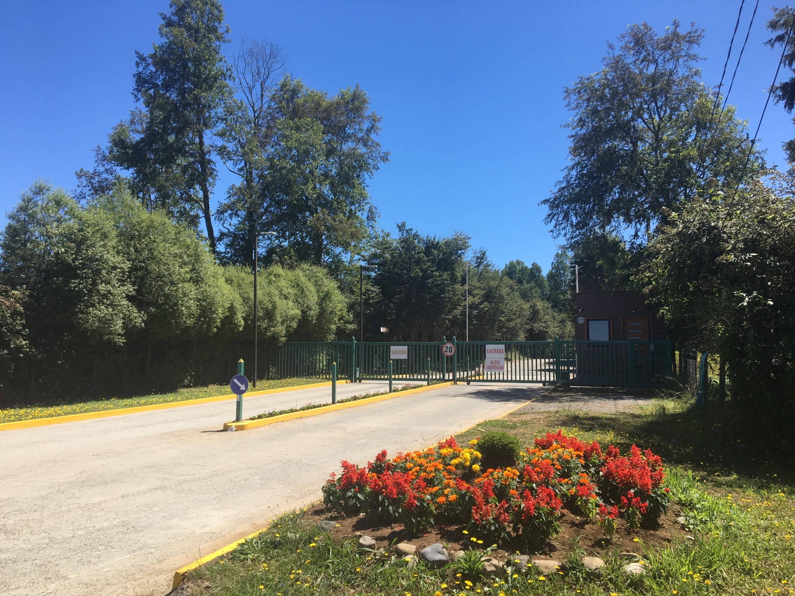 Parcela en Lomas de Villarrica — foto 1