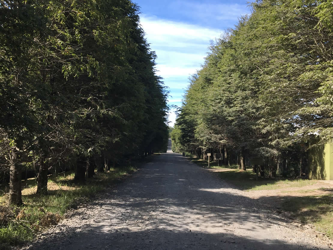 Parcela en Lomas de Villarrica — foto 3