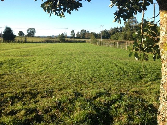 Parcela en Lomas de Villarrica — foto 4