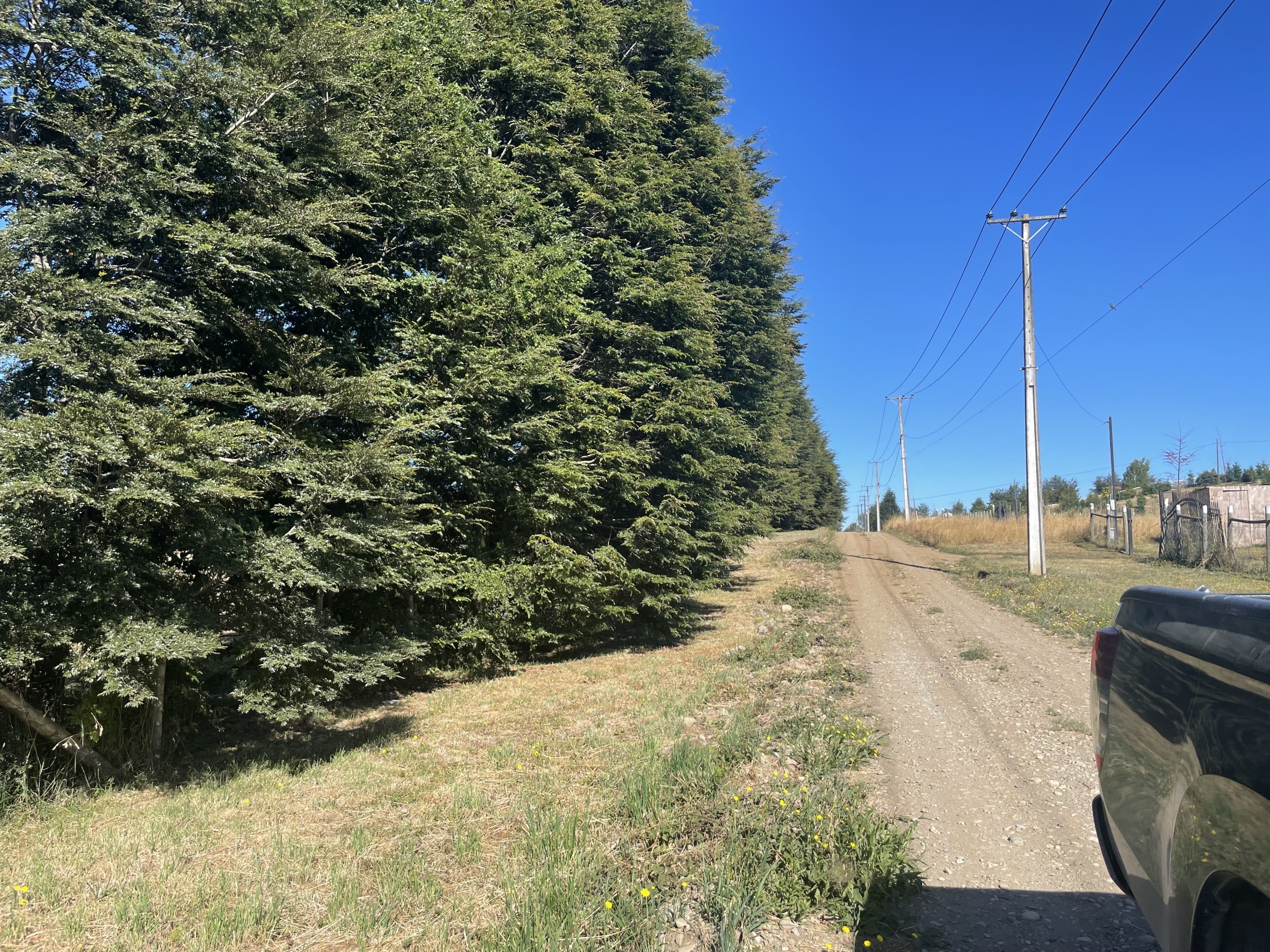 Parcela en Lomas de Villarrica — foto 5