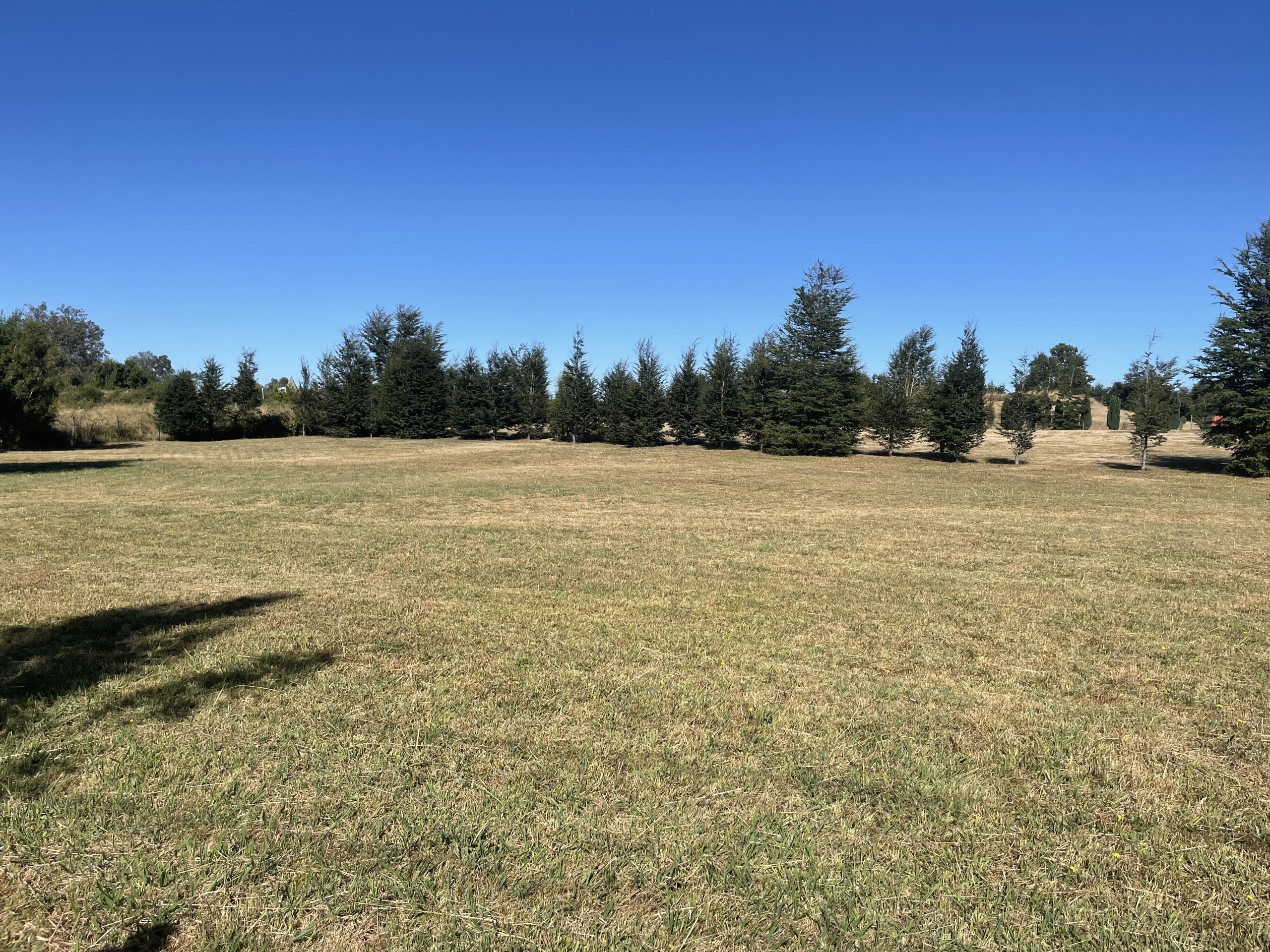 Parcela en Lomas de Villarrica — foto 10
