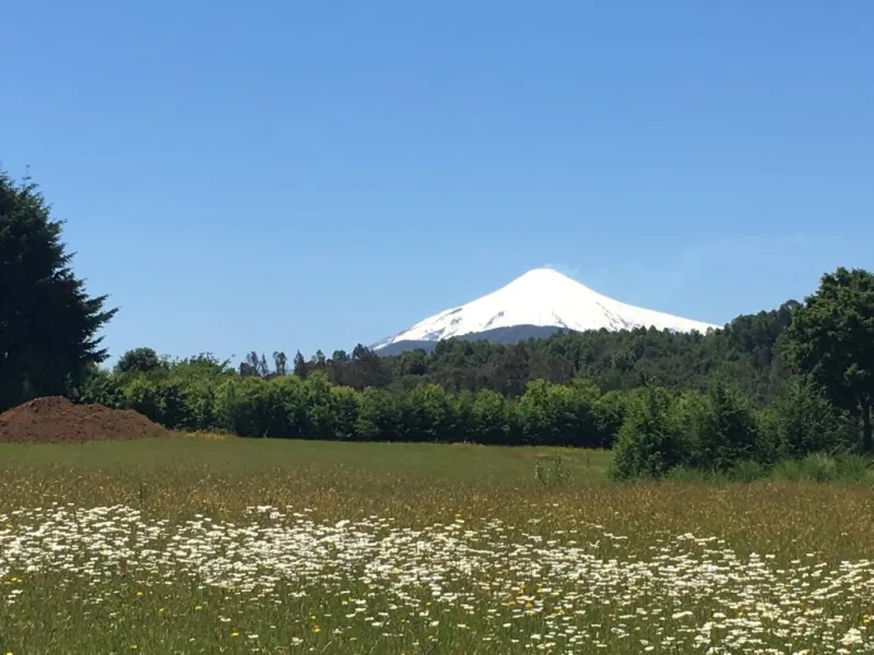 Parcelas en Villarrica, a minutos del centro