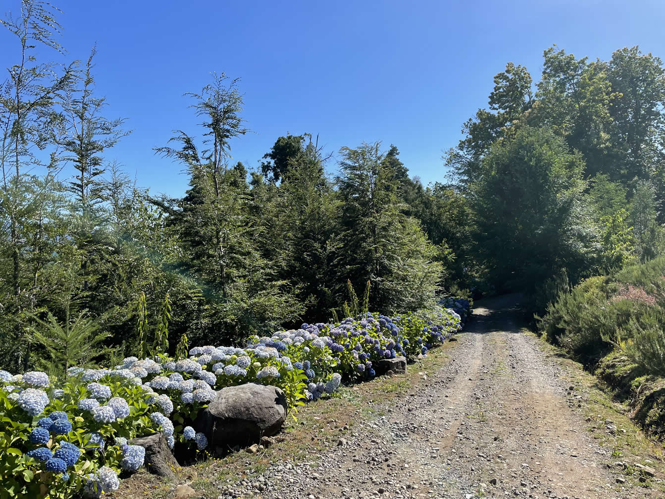 Terreno en Lago Villarrica con orilla de lago, ideal para construir un proyecto inmobiliario