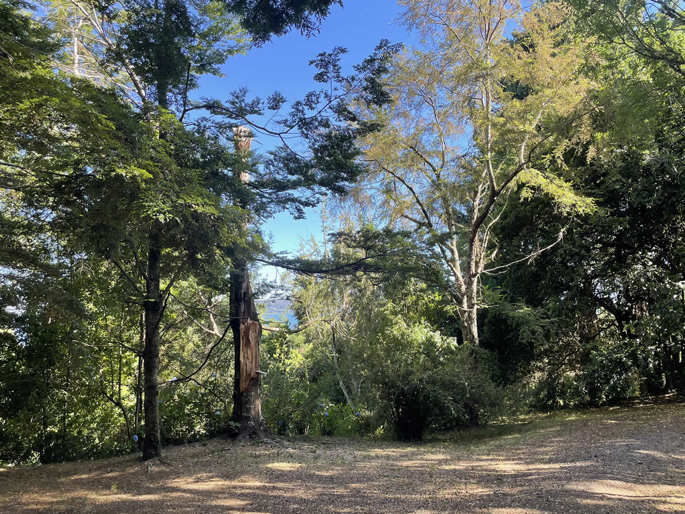 Terreno en Lago Villarrica con orilla de lago, ideal para construir un proyecto inmobiliario