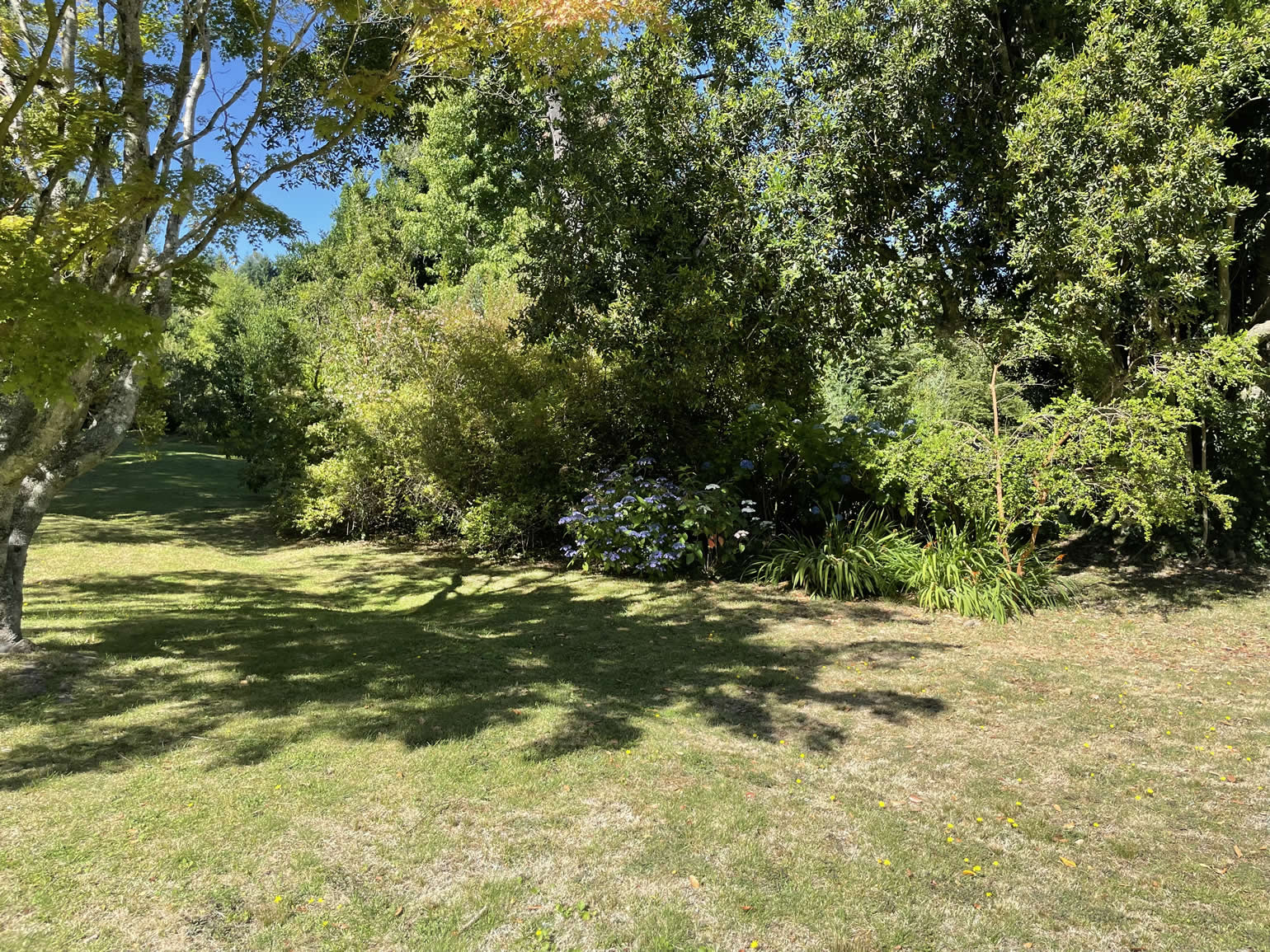 Terreno en Lago Villarrica con orilla de lago, ideal para construir un proyecto inmobiliario