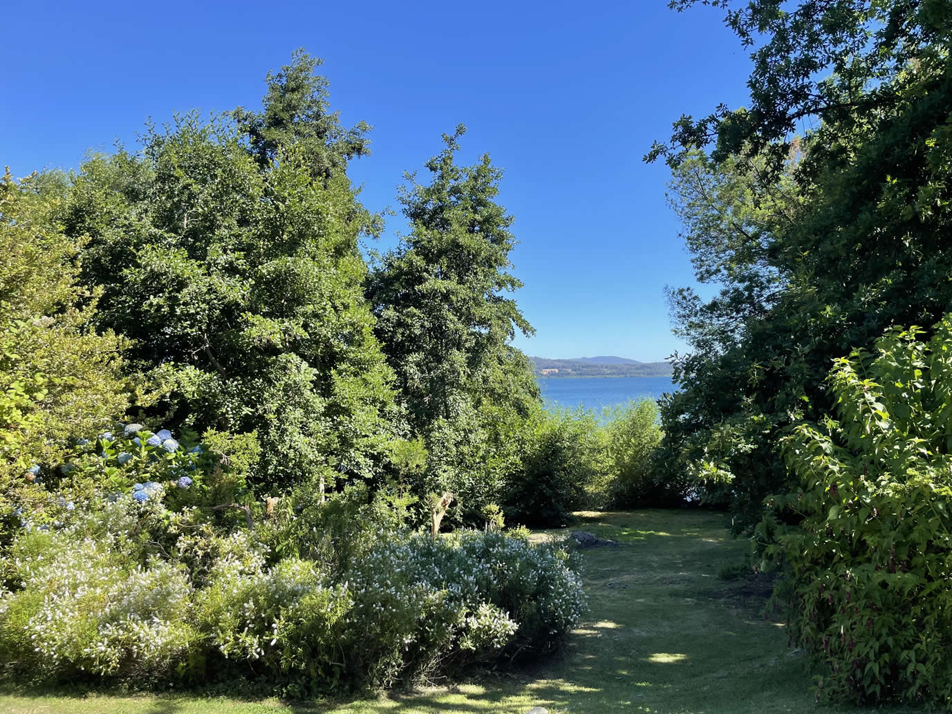 Terreno en Lago Villarrica con orilla de lago, ideal para construir un proyecto inmobiliario