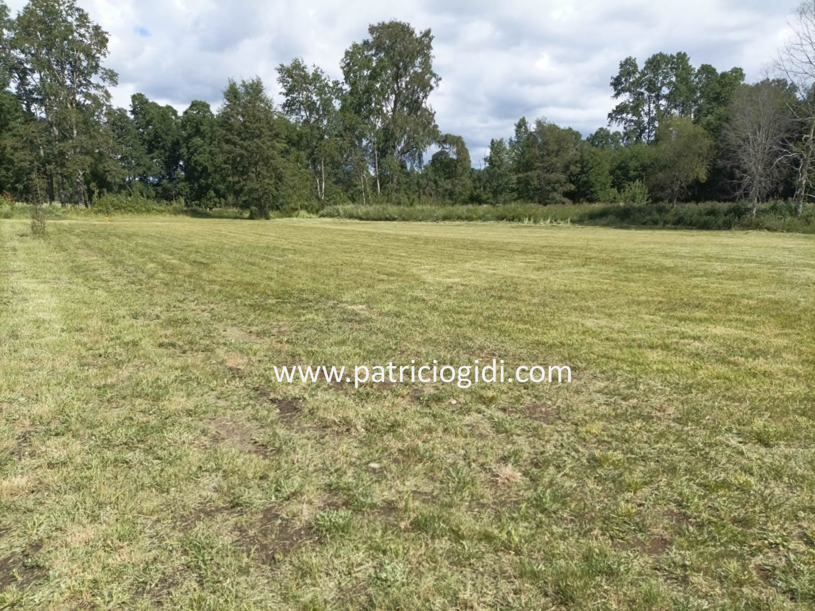 Venta de Parcela en Villarrica Segunda Faja